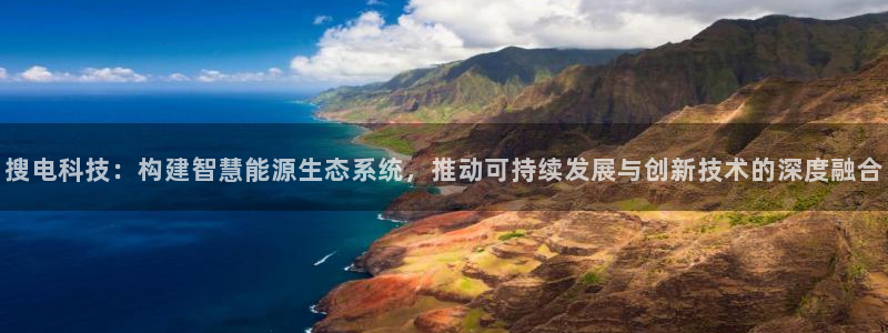 搜电科技：构建智慧能源生态系统，推动可持续发展与创新技术的深度融合
