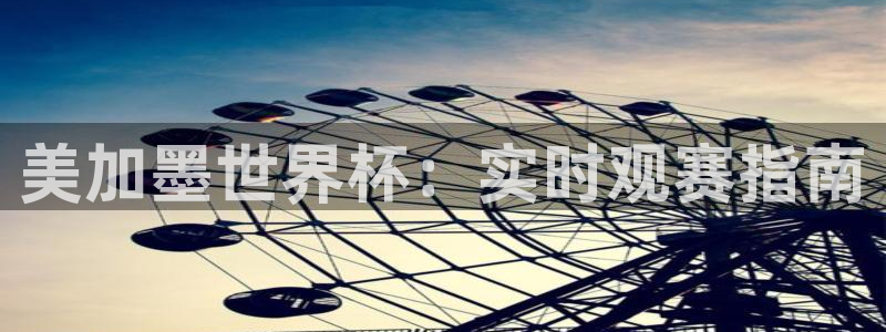 美加墨世界杯：实时观赛指南