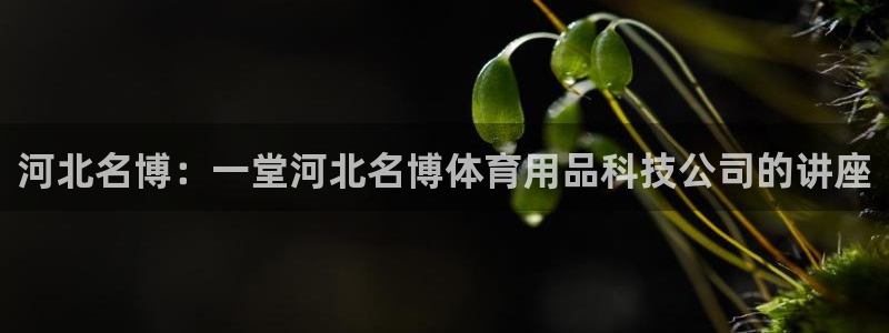 河北名博：一堂河北名博体育用品科技公司的讲座