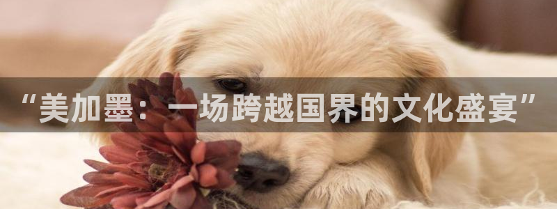 “美加墨：一场跨越国界的文化盛宴”