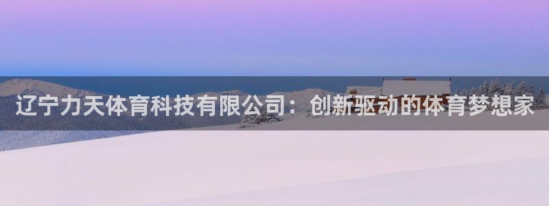 辽宁力天体育科技有限公司：创新驱动的体育梦想家