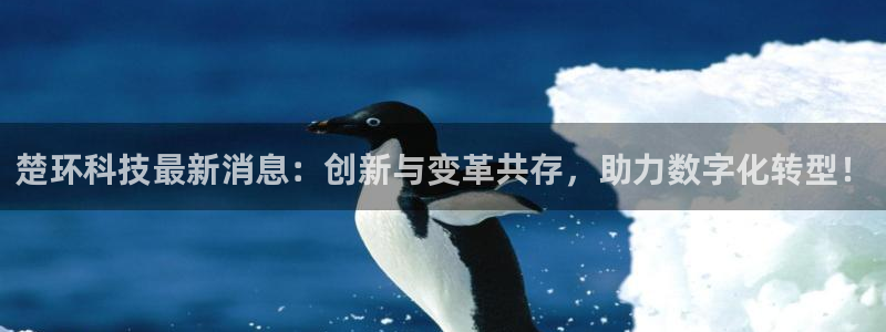 楚环科技最新消息：创新与变革共存，助力数字化转型！